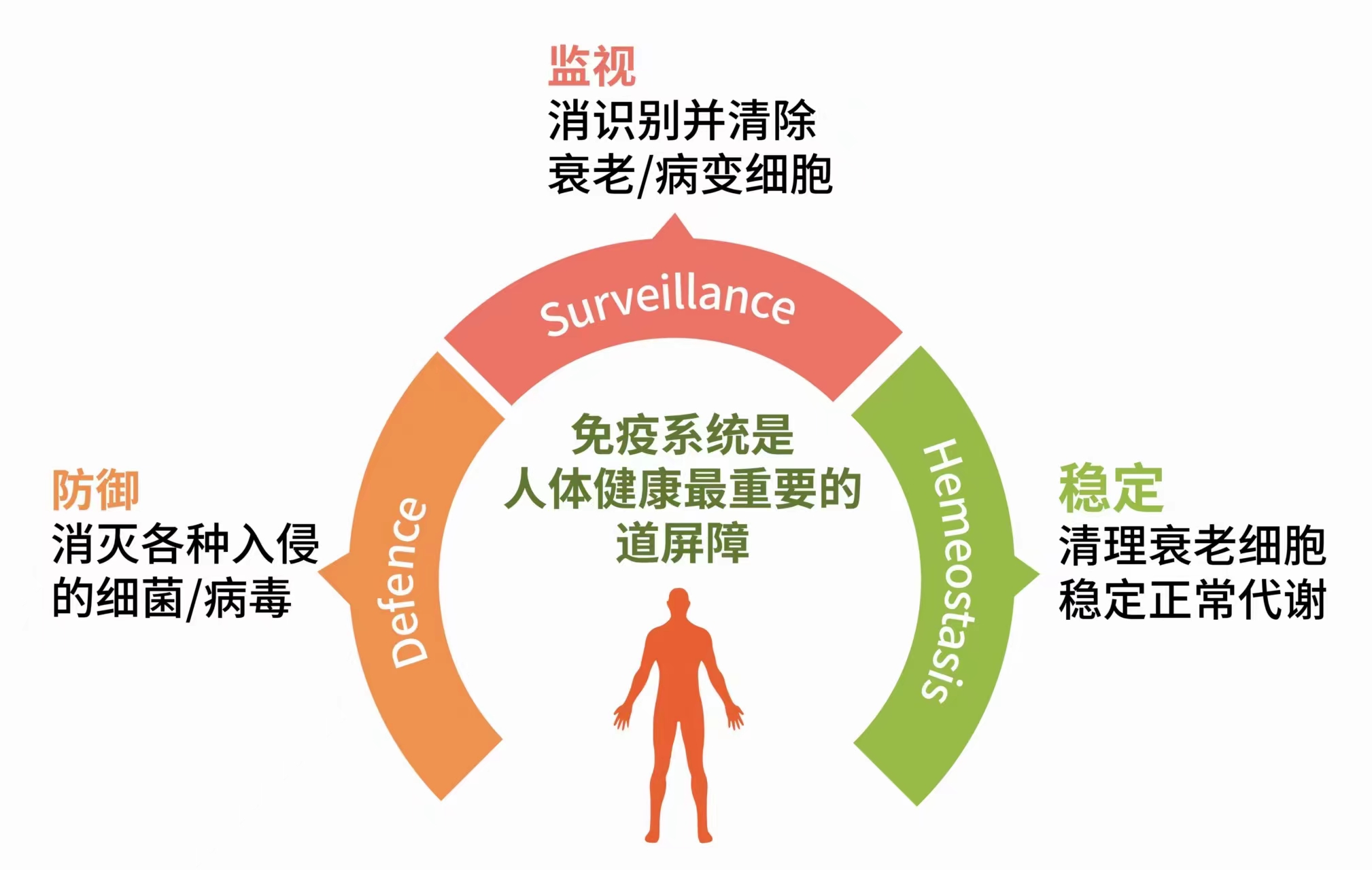 牛皮癣能导致白癜风吗,一招治愈牛皮癣白癜风