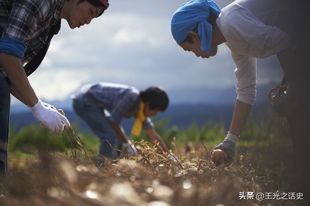 日本人为什么定居巴西,日裔巴西人的现状