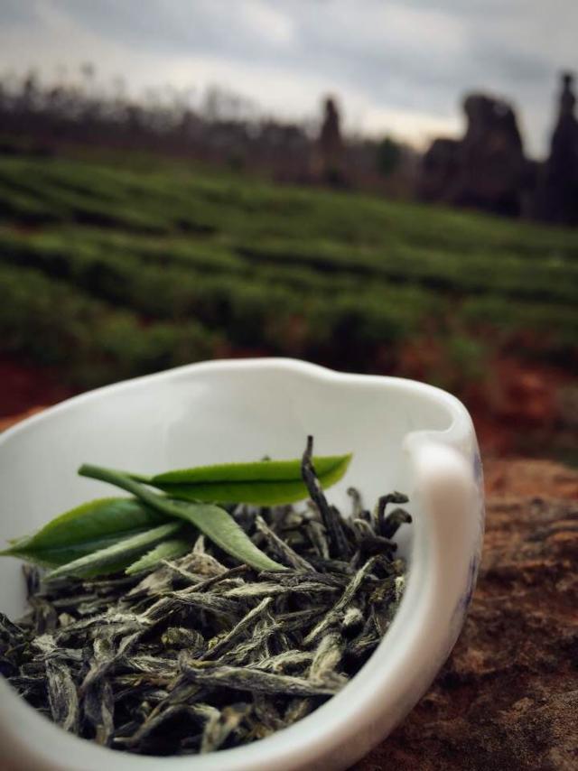 比龙井好喝的茶是什么茶叶,比龙井好的茶有哪些