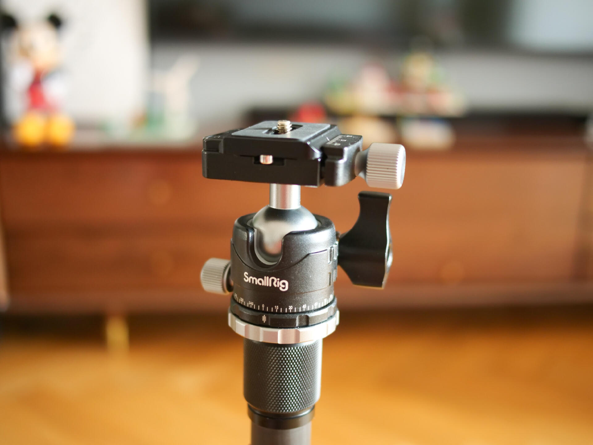 拍人像必备摄影器材有哪些,一般摄影必用的照相器材有哪些呢