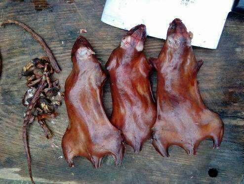 农村用老鼠笼和夹子抓老鼠,小时候用老鼠笼抓老鼠