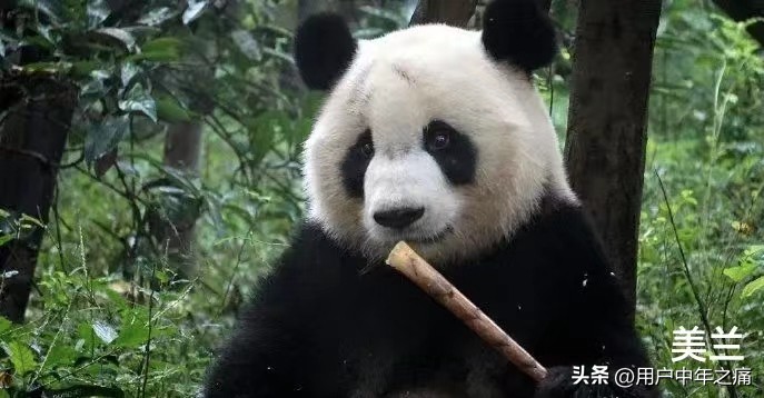 天之骄女是哪一年的,天之骄女重生归来小说