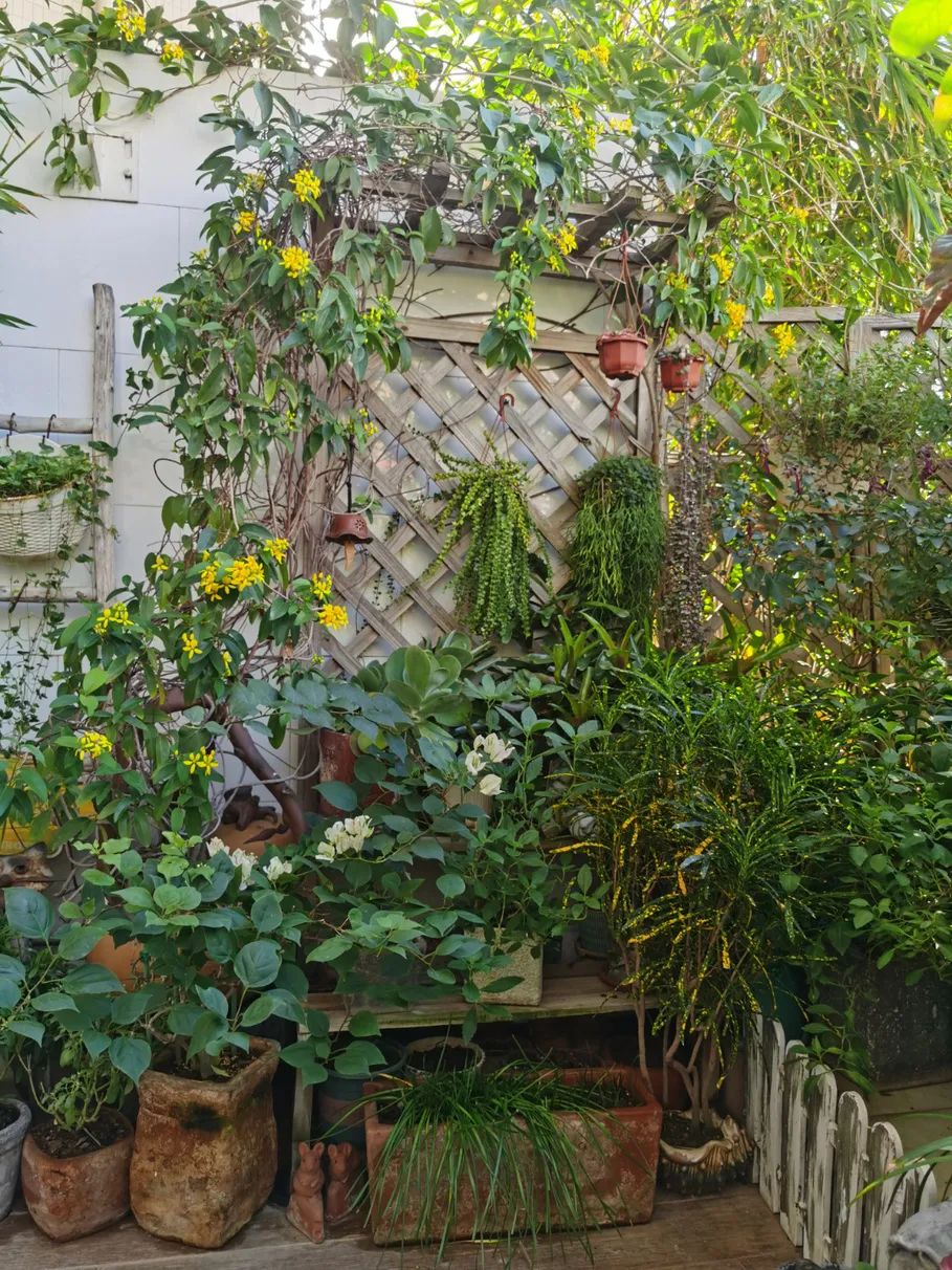 很多人羡慕的阳台,让别人羡慕的阳台