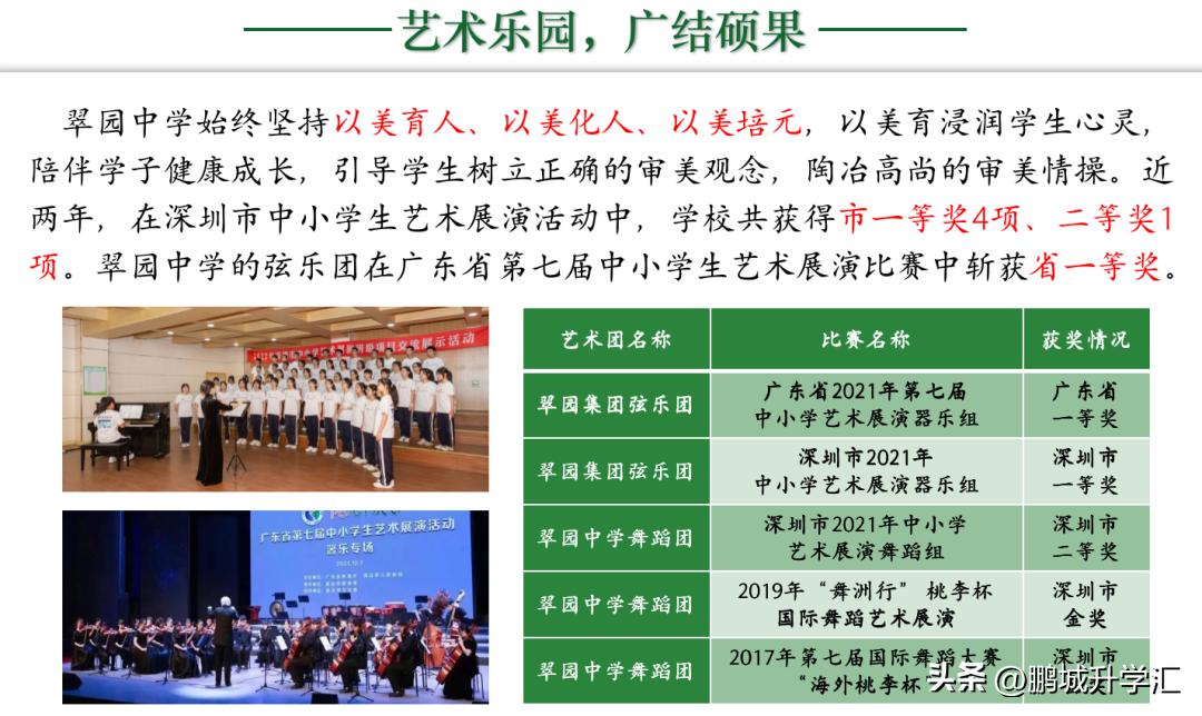 小升初怎么考入深圳翠园中学,中考成绩广东深圳