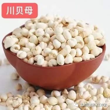 几种贝母的区别,各种贝母的区别