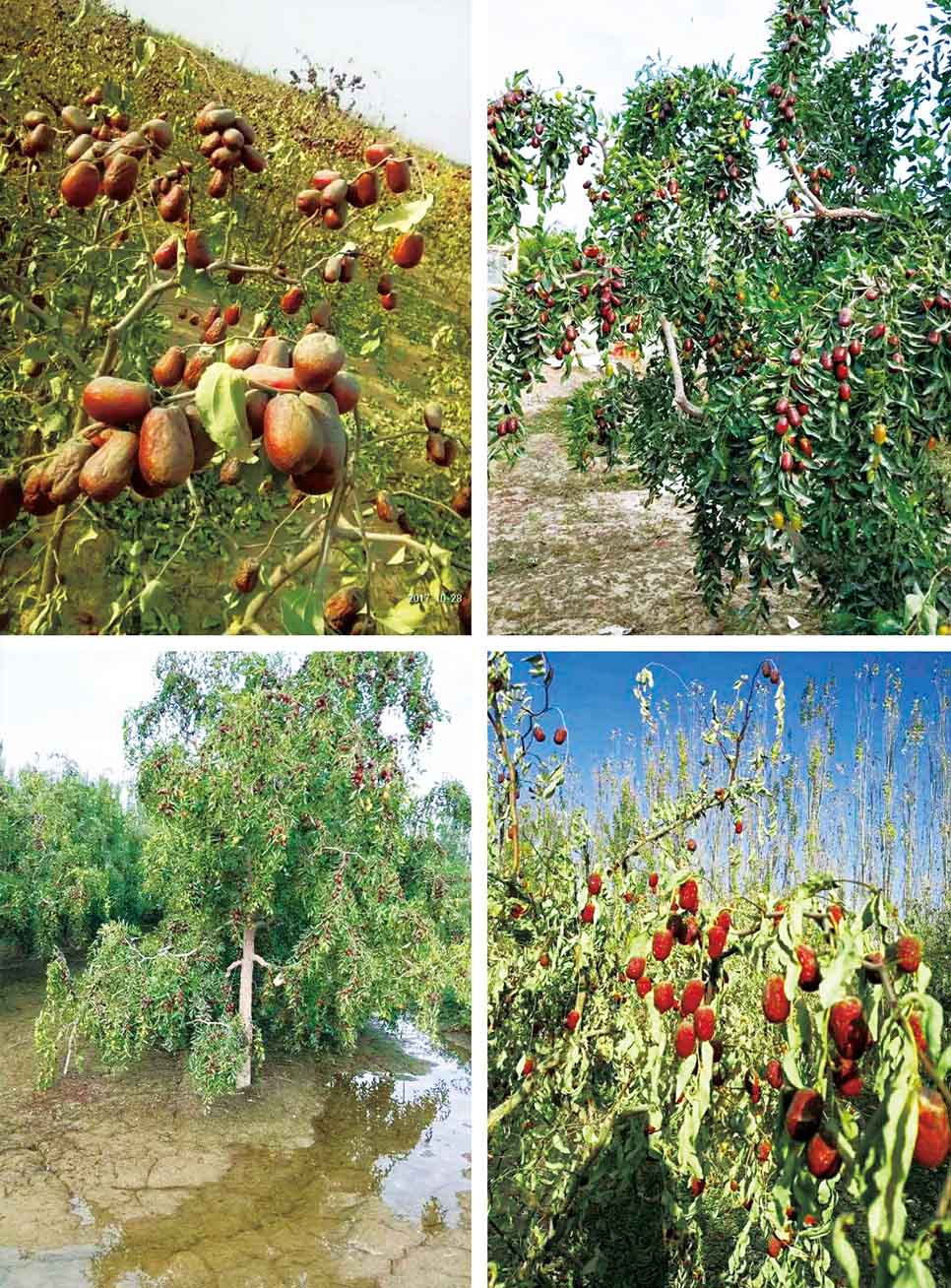 重庆野山珍商贸有限公司,重庆野山珍商贸
