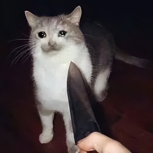 “好开心啊，我终于被人绑架了”