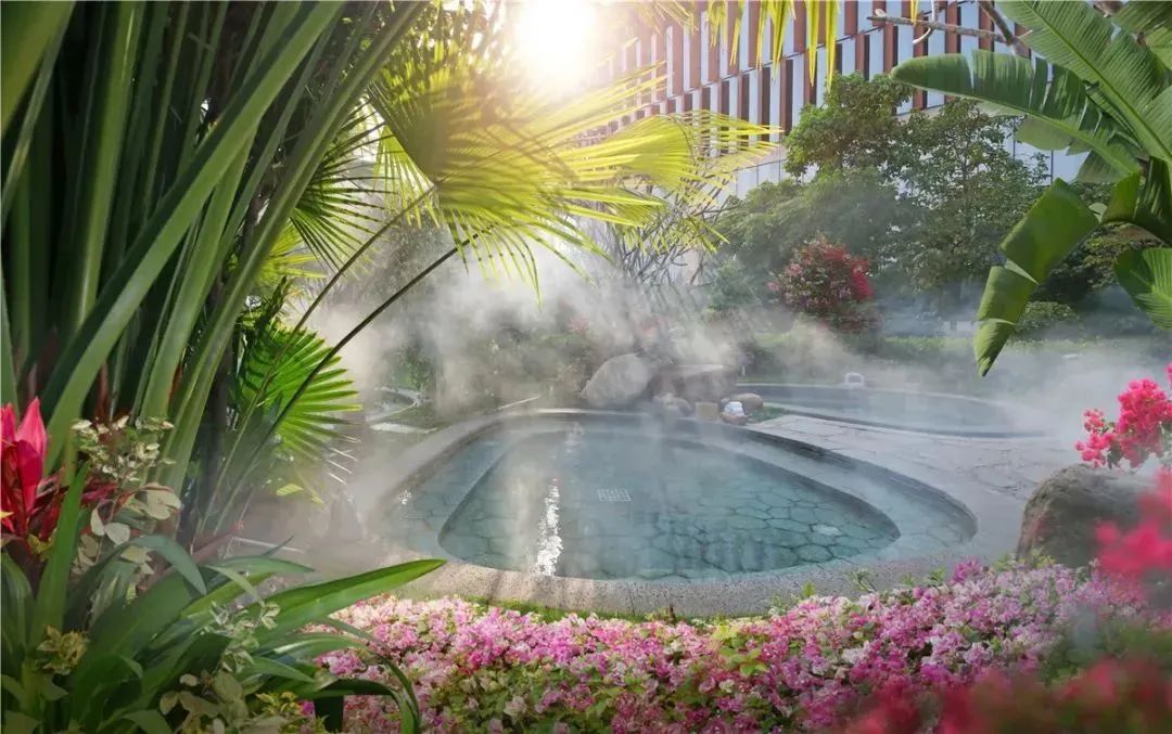 漳州泡温泉旅游攻略路线,春节漳州一日游最佳去处