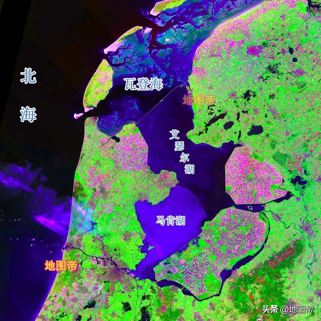 荷兰无冕之王什么意思,荷兰无冕之王