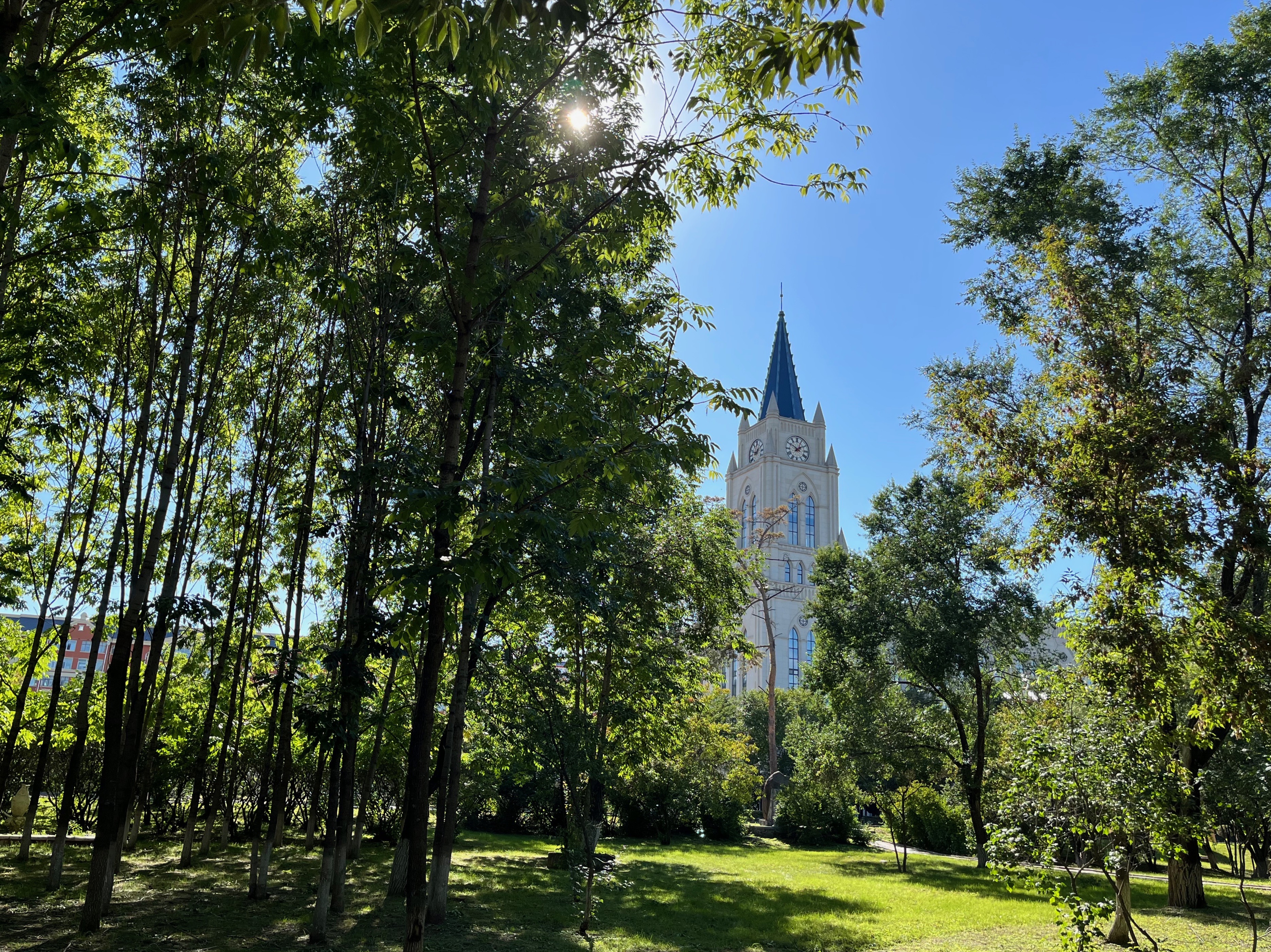 夫妻自驾11000公里,夫妻两人自驾游最新视频