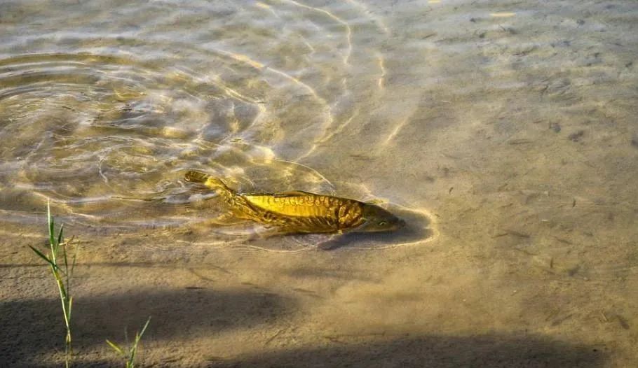 鸣沙山月牙泉游记,鸣沙山月牙泉之行