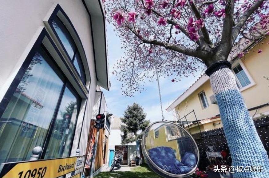 高速服务区明星,高速服务区唱歌