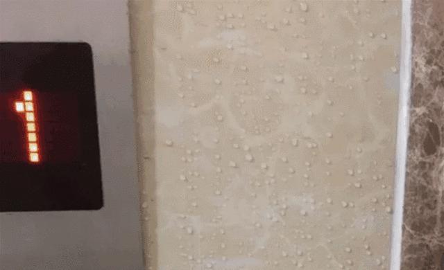 屋里潮湿起霉斑怎么去除,潮湿发霉怎么快速消除霉点