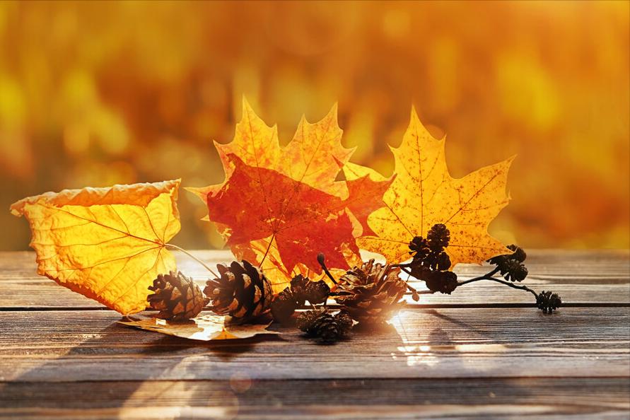 秋季降火菜谱大全,去秋燥降火的食谱