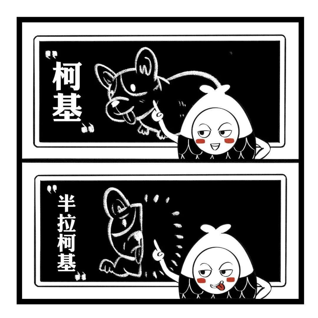 东北损人歇后语,东北话方言经典对话