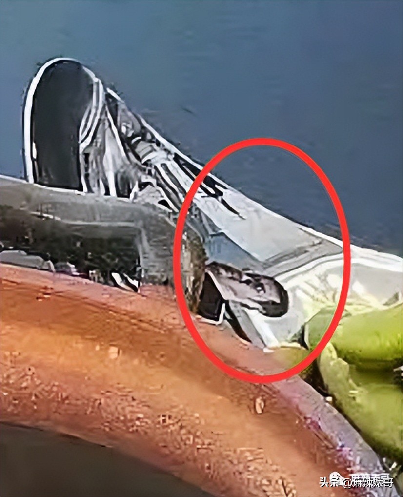 网红张大奕官宣订婚对象是谁,跟张大奕找对象的是谁