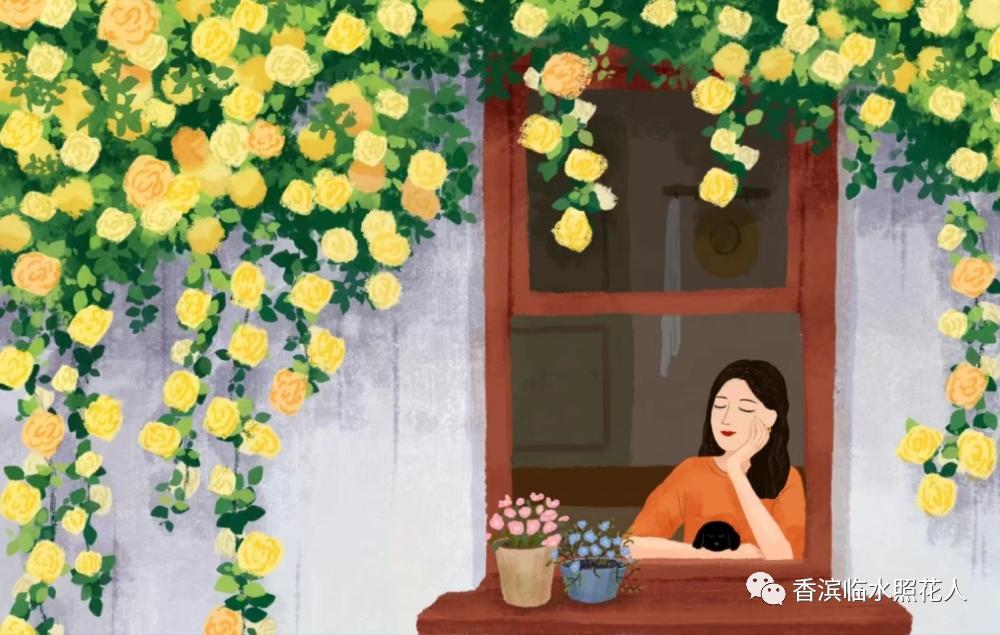 奋斗成就梦想作文500字以上,奋斗成就梦想初中作文