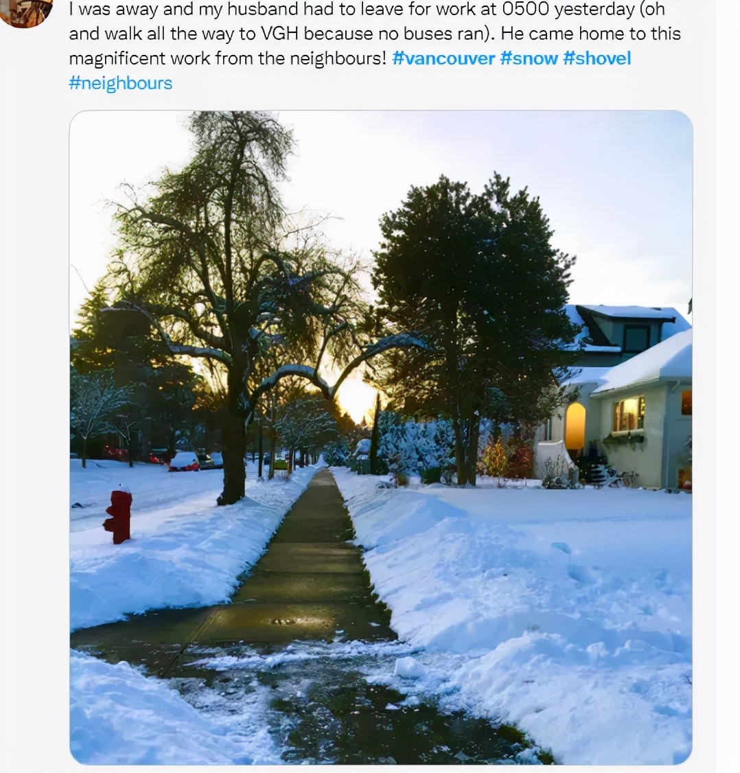 多伦多-20℃喜提2年最低温！今年加拿大天气太迷了