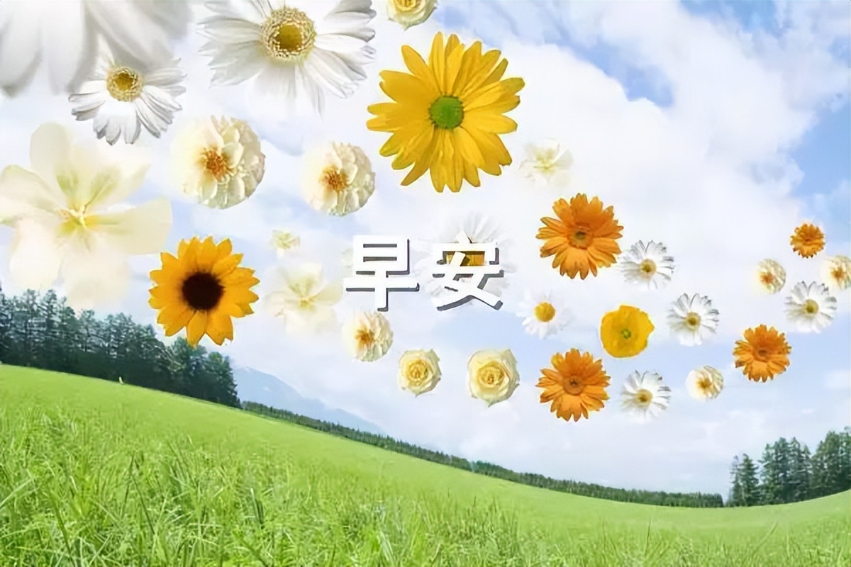 早安正能量励志句子句句精辟,早安正能量满满的句子朋友圈