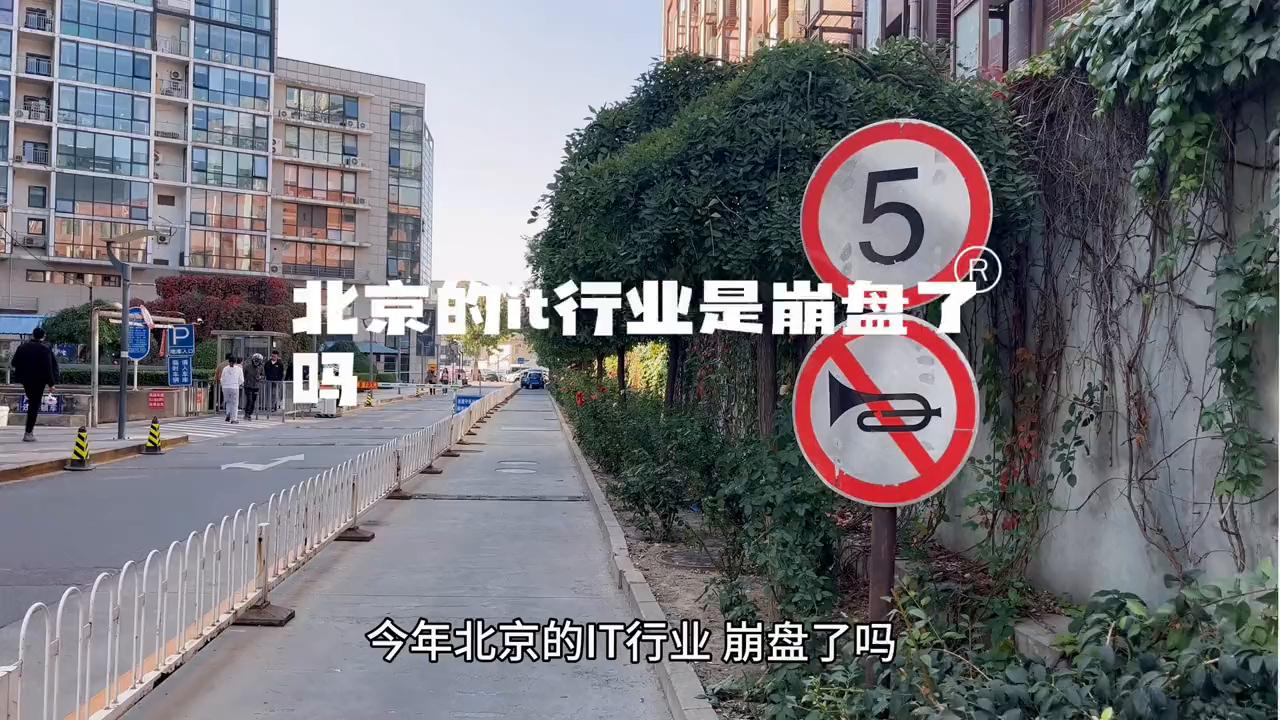 it行业真的崩盘了吗,it行业崩盘了么
