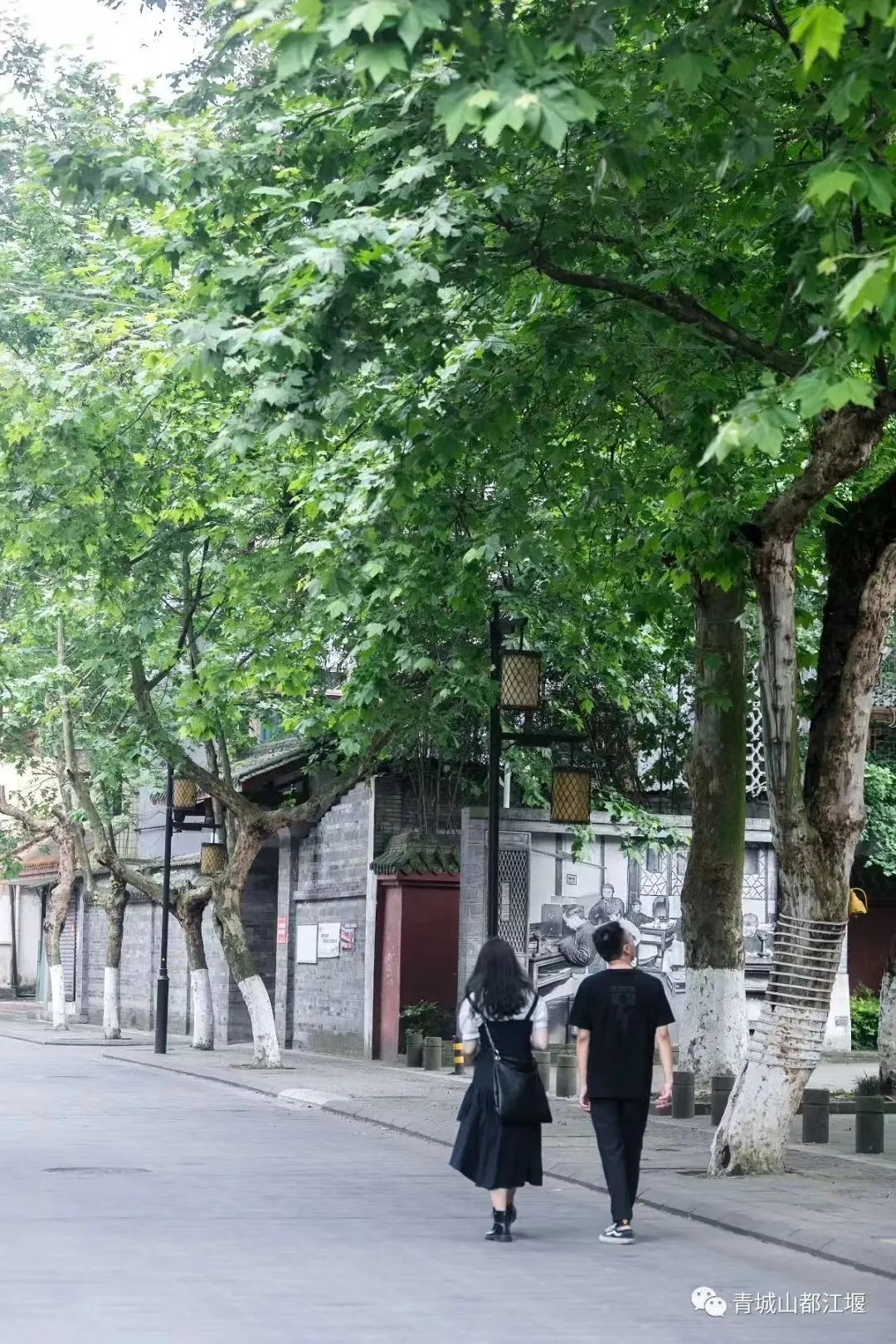 拿走不谢！这份都江堰“懒人版”旅游攻略，不爬山、不扎堆，还能打卡明星同款，赶快行动吧~