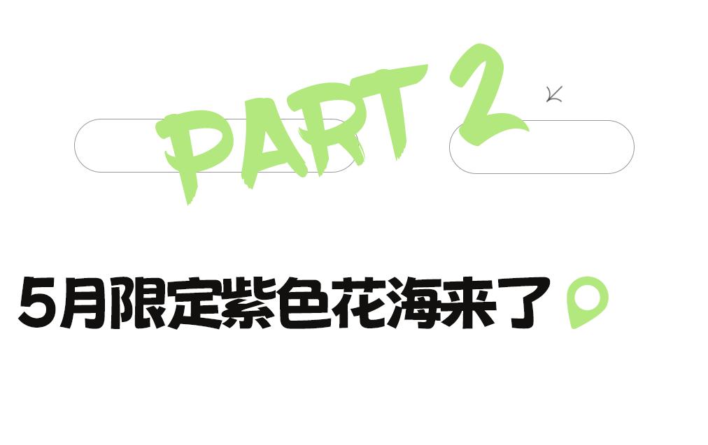 成都有哪些好玩的网红打卡地,成都网红打卡地最新旅游景点