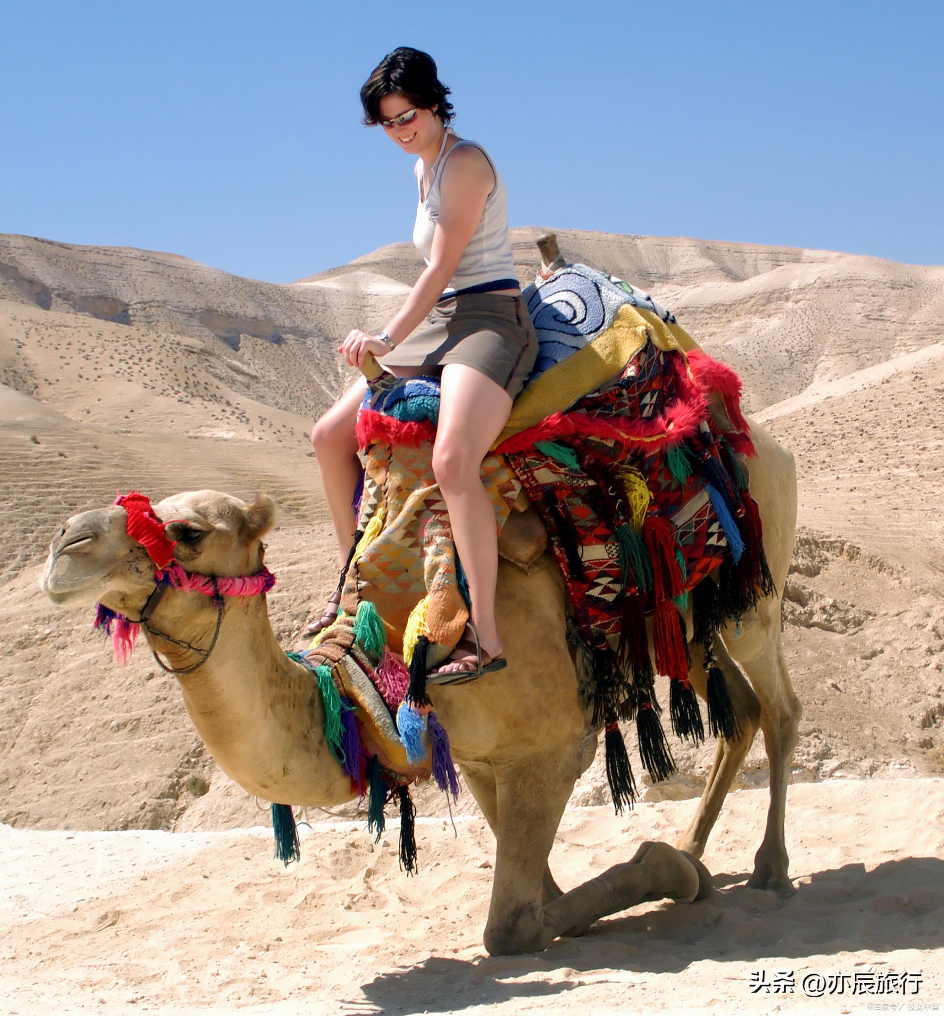 宁夏十一月旅游攻略图,宁夏周末旅游推荐地点最新