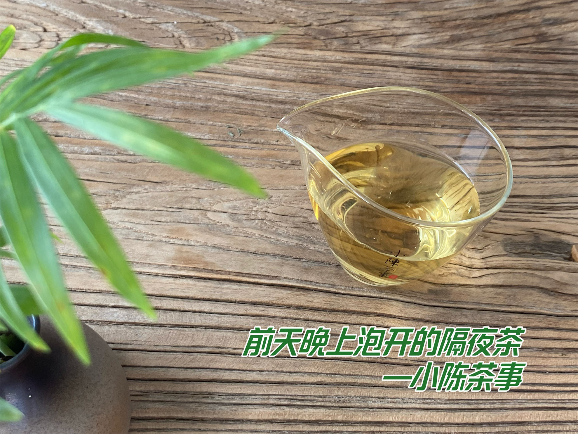 隔夜茶5大禁忌,喝茶常识隔夜茶可以喝吗