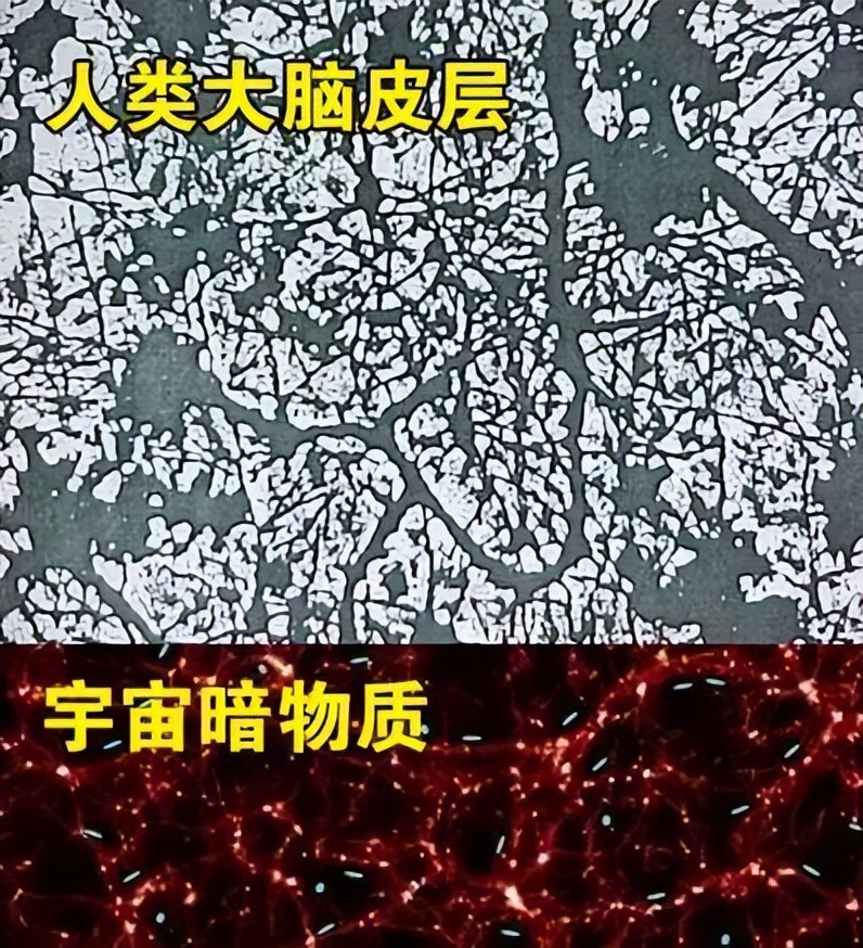 色即是空空即是色通俗解释一下,色即是空简单解释一下