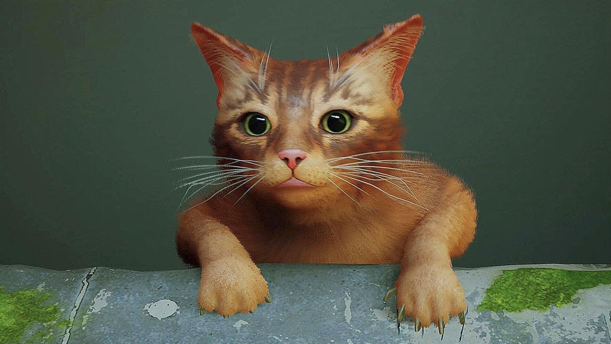 流浪猫模拟器要怎么玩,流浪猫模拟器是什么游戏