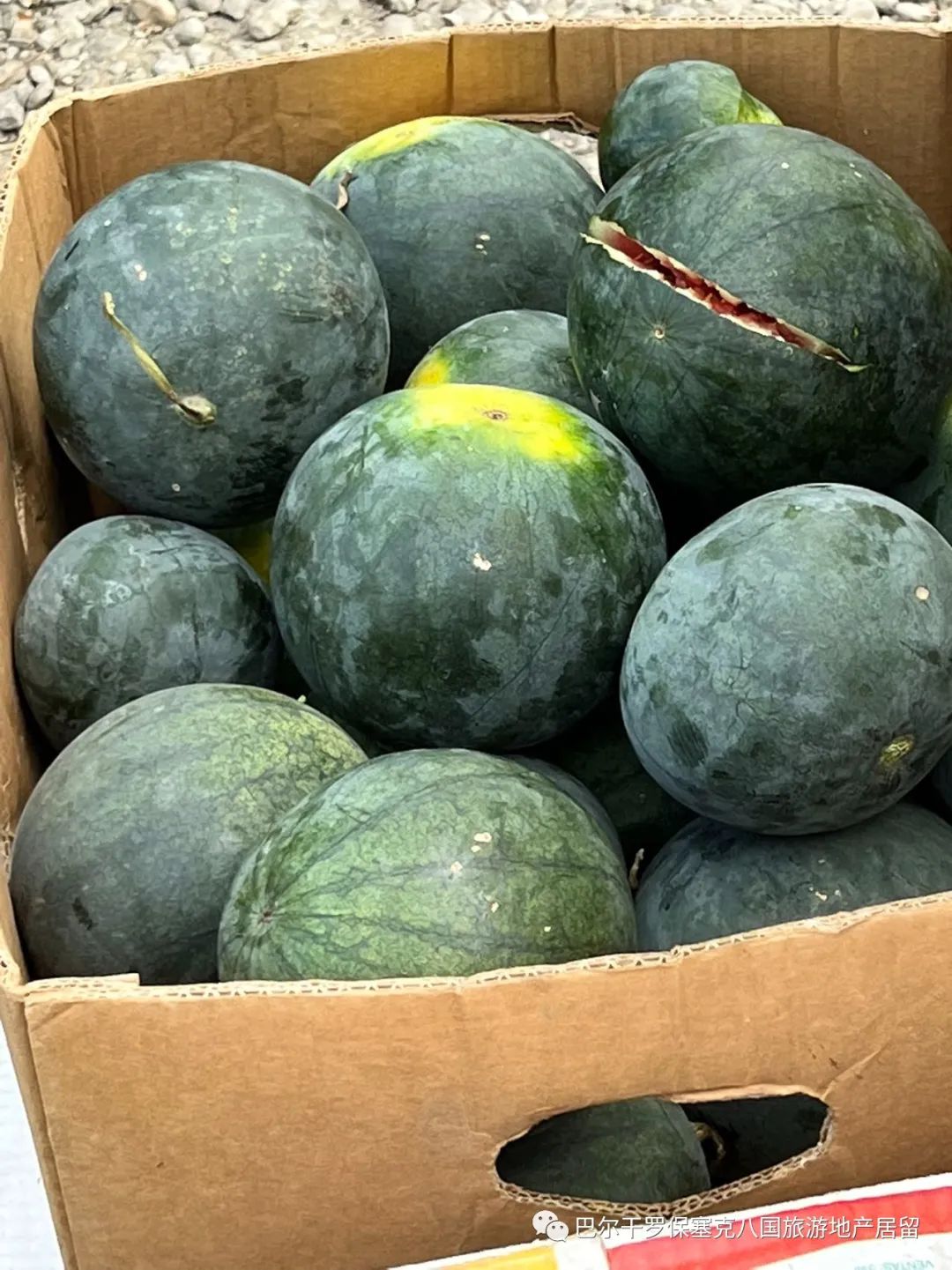 罗马尼亚蔬菜,罗马尼亚大型水果批发市场