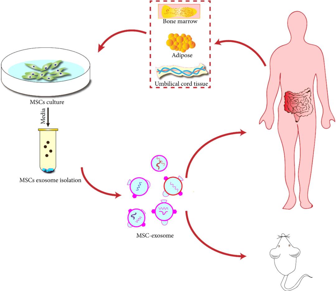 渐冻症腰椎手术报道,渐冻症患者寿命长的视频