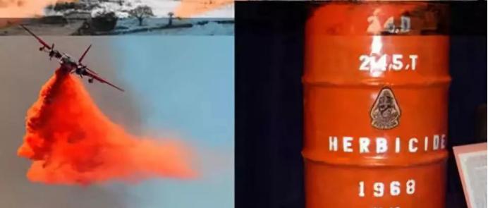 美国人体实验,外国著名人体实验