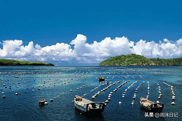 30岁适合戴什么样的珍珠,细长脖子适合戴什么样的珍珠