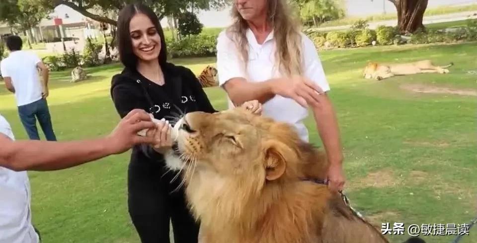 迪拜富人到底有多奢华,迪拜王子和世界首富到底谁更富