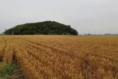 神游淄博临淄齐都篇之二