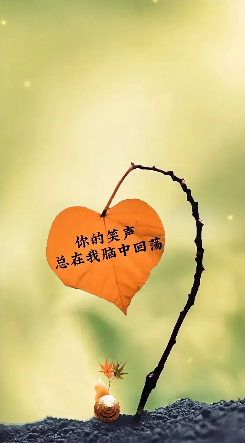 表白文案高级有深度20个字,表白的高级文案英文