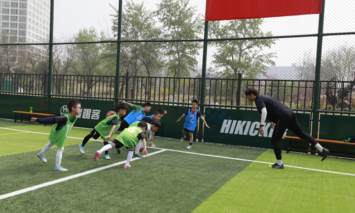 夏令营项目平台,夏令营招生机构