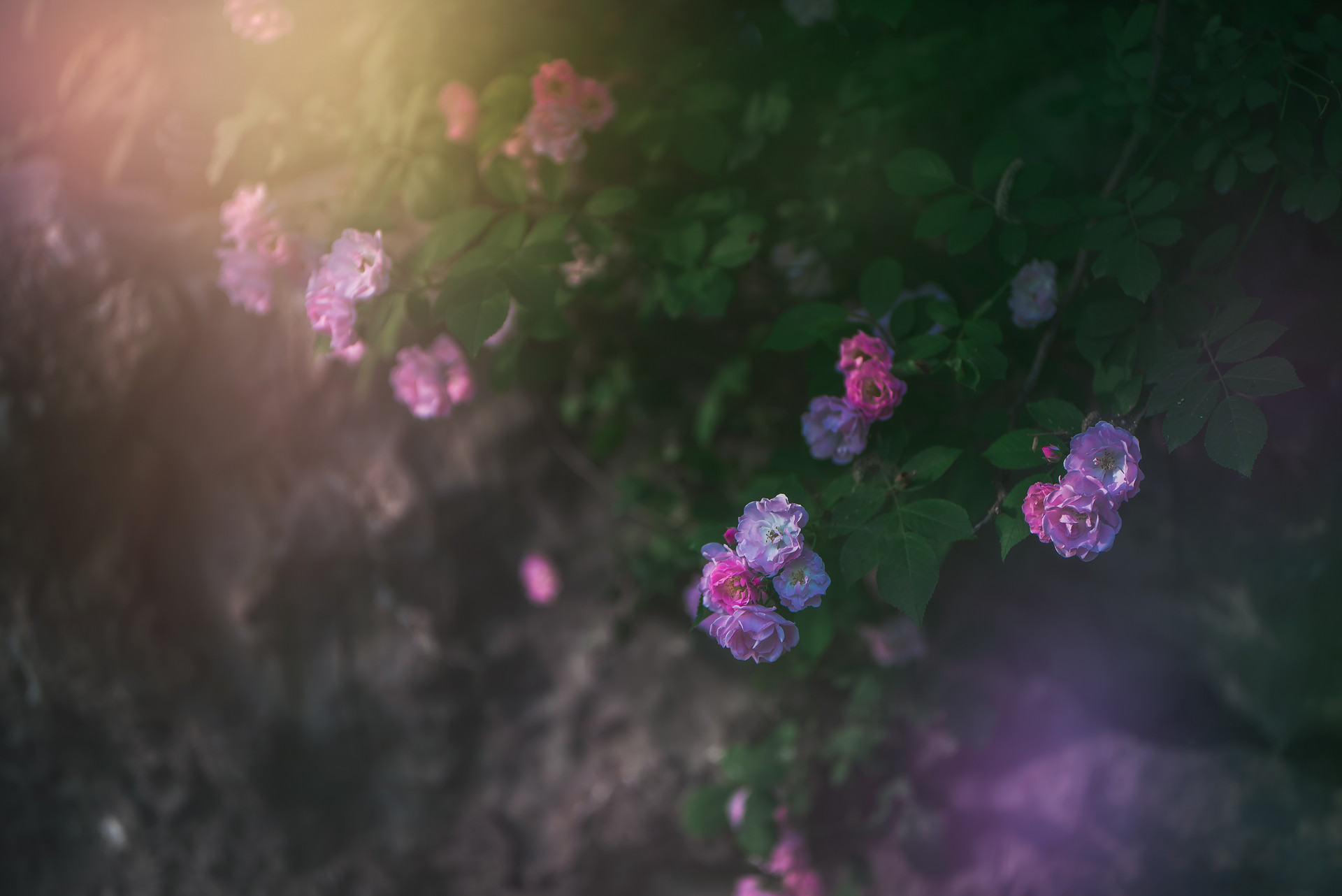 爱上已婚男人该怎么做才能放弃,爱上已婚男人正确做法