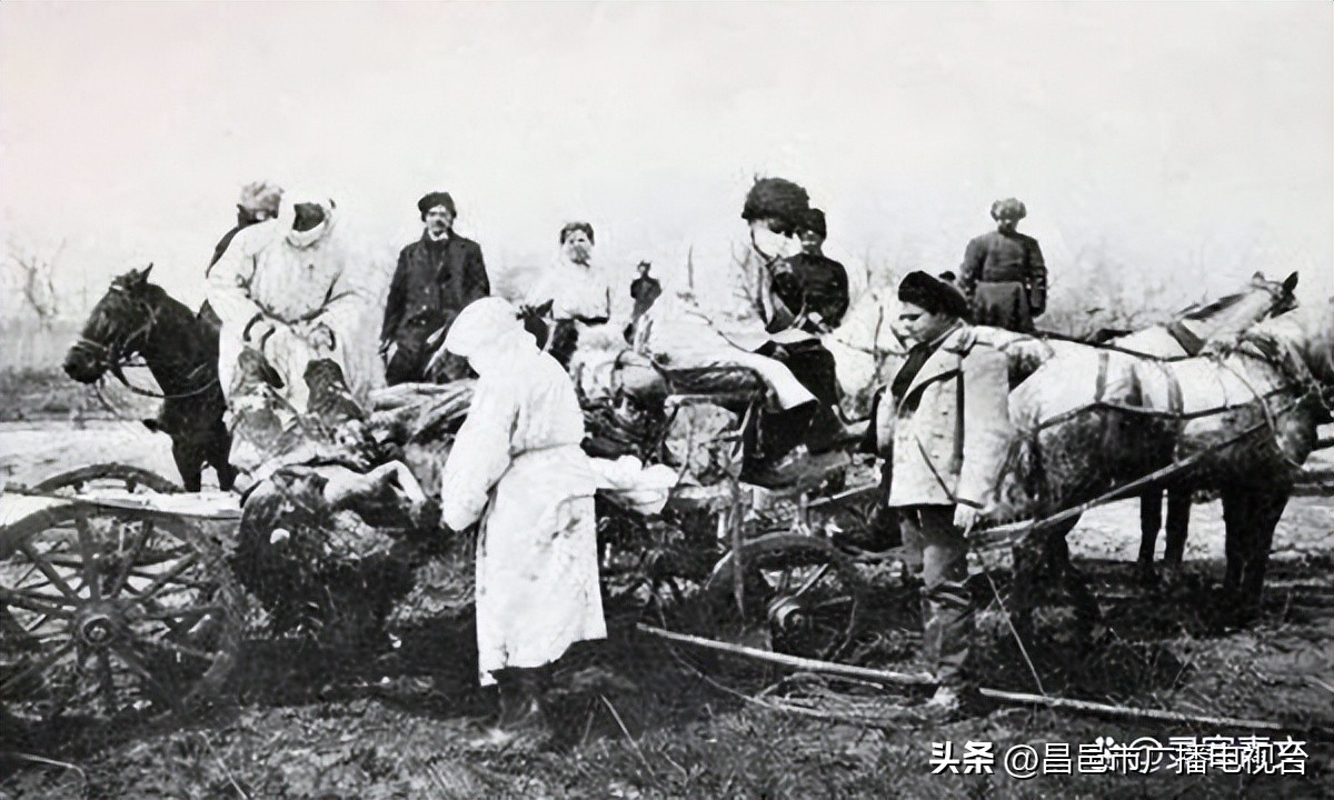 大疫不过三过三必有殃的意思,大疫不过三过三必有殃谁说的