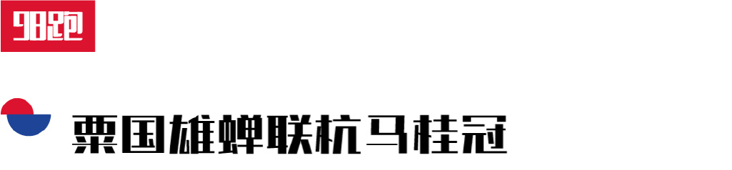 冠军的故事10个字,冠军的励志故事