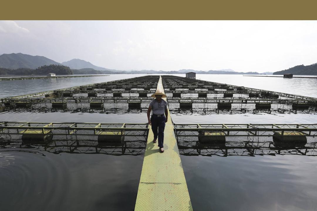 鱼籽酱的阶层跃升拯救了鲟鱼，但人类真的能「支配自然」吗？