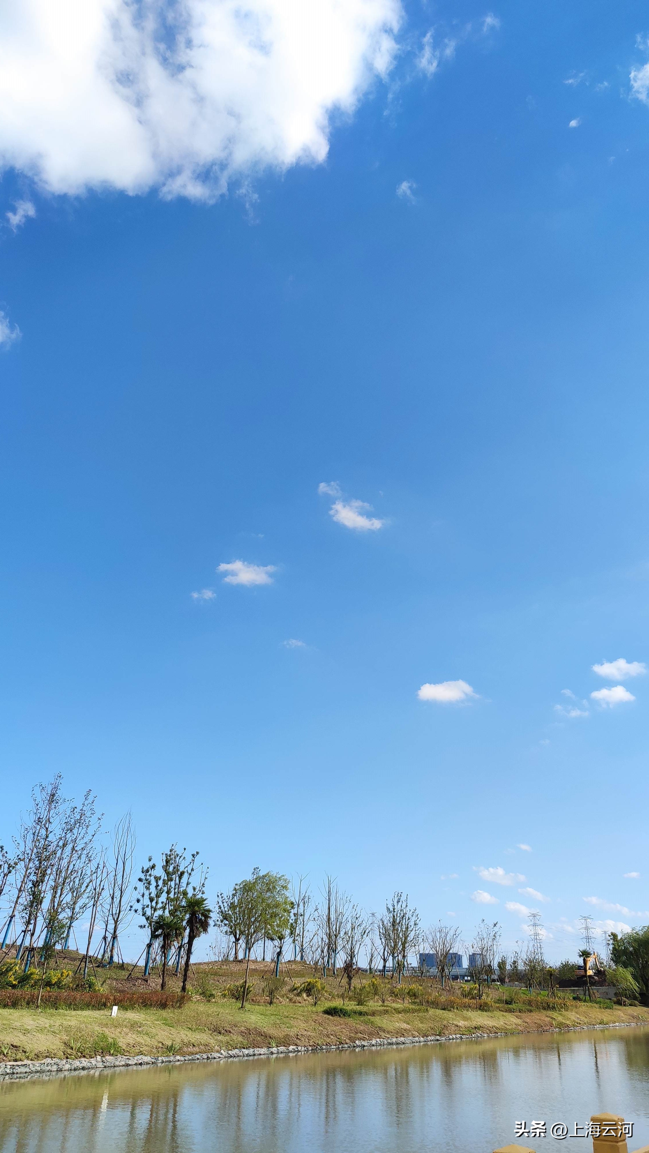 哪怕是猪遇到机遇也能飞起来,就算是一头猪也得活出自我