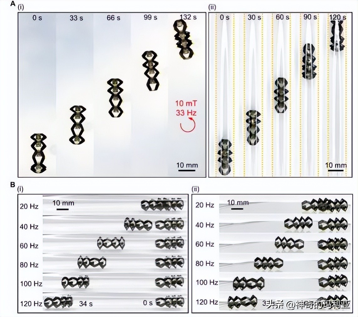 用于无线控制毫米级机器人的磁致动齿轮箱，其究竟有何作用