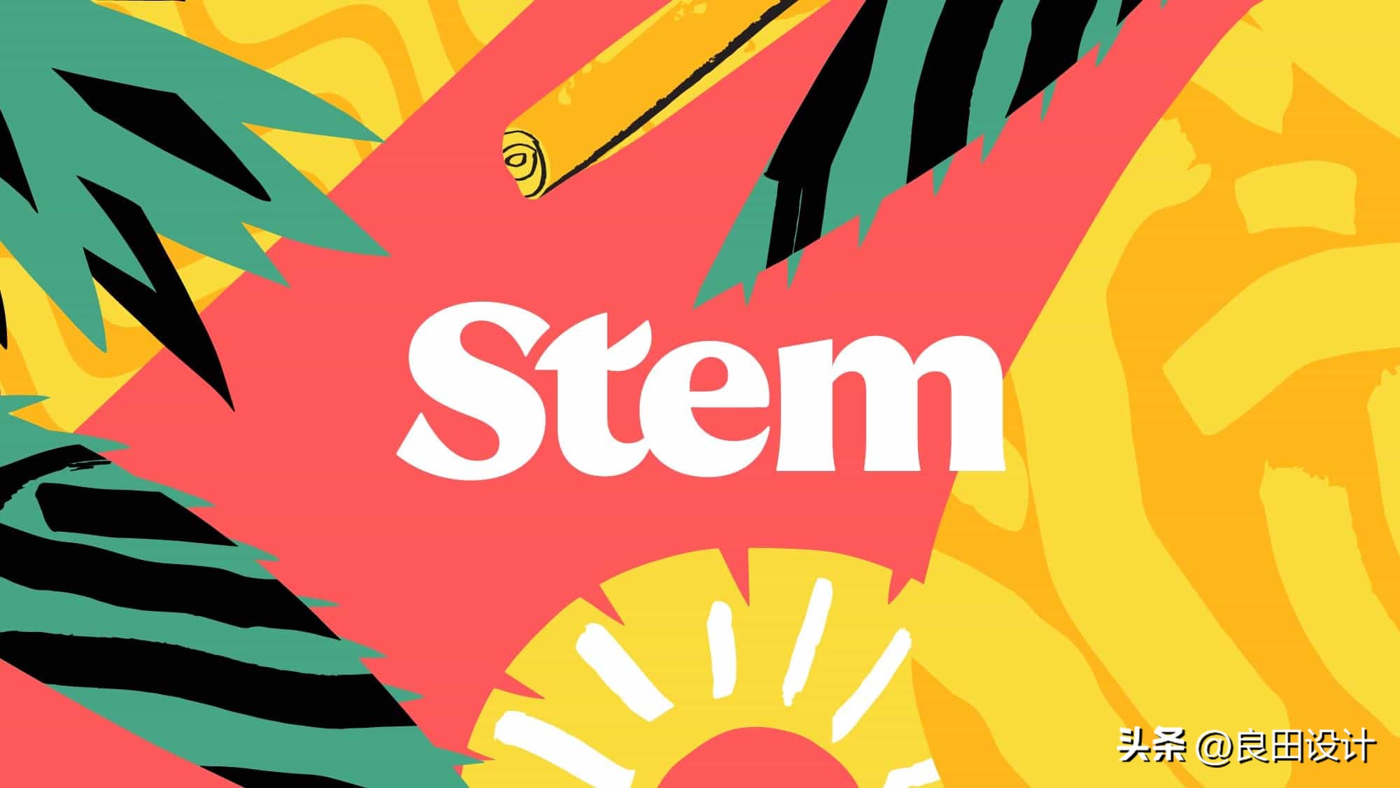 StemCiders苹果酒包装设计全面的品牌重新设计