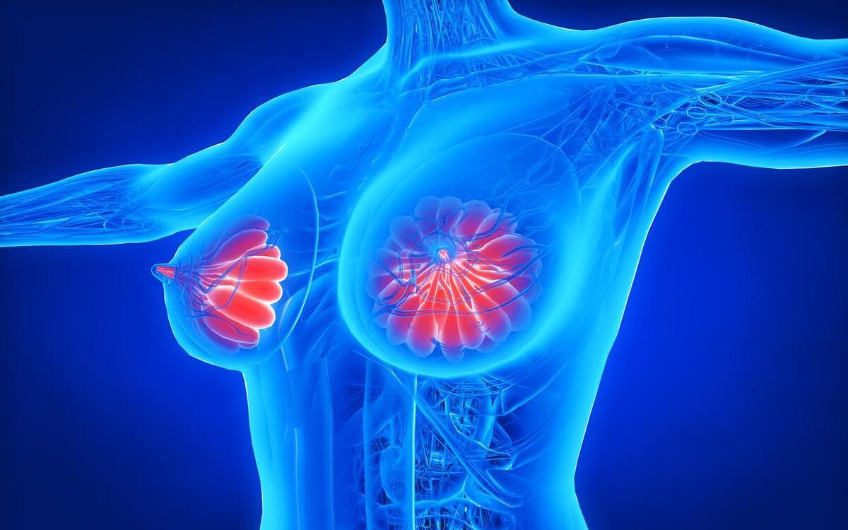 女性要具有幸福的能力,女性的挑战与安稳如何选择