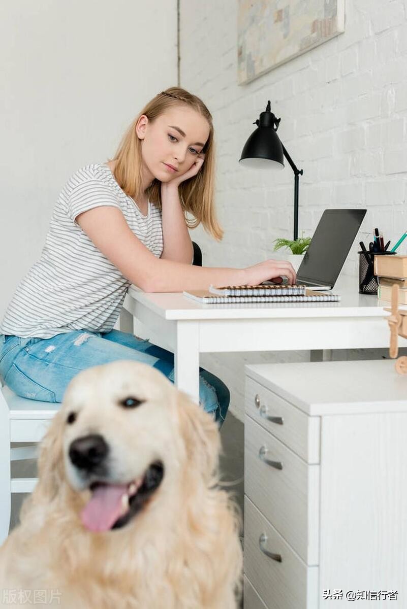 逆向思维赚钱成功案例,100个逆向思维创业赚钱方法