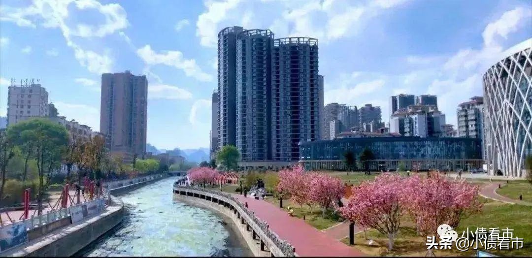 六盘水失信被执行人公布名单,六盘水地区失信被执行人名单公布