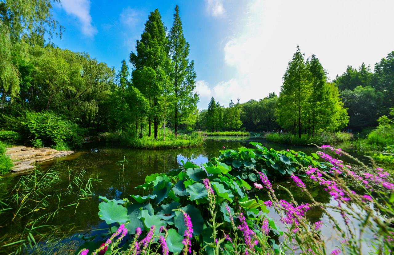 济南体验泉城天然氧吧,济南天然氧免费景点