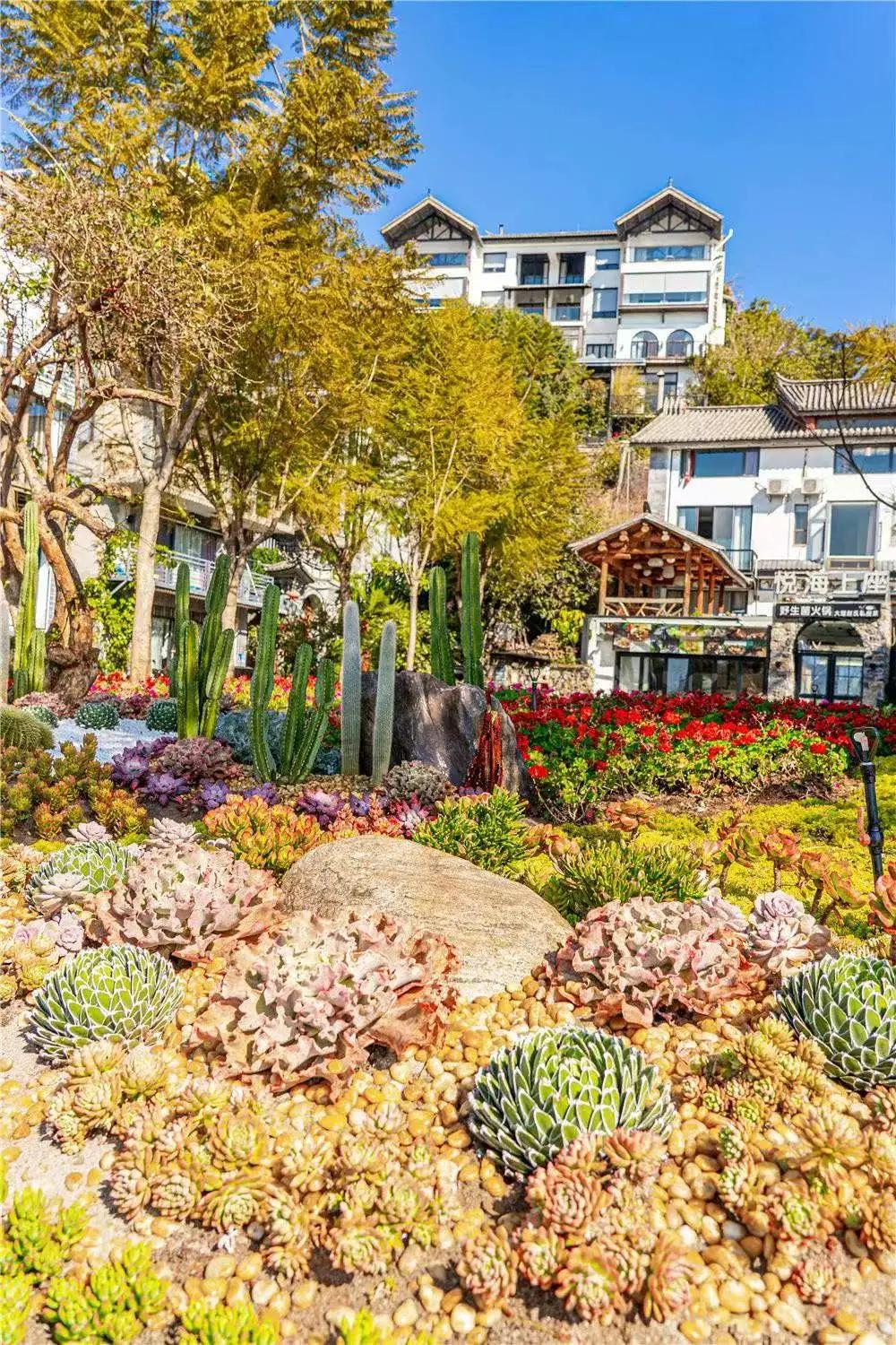 带你去双廊,住在浪漫的双廊洱海边看风景